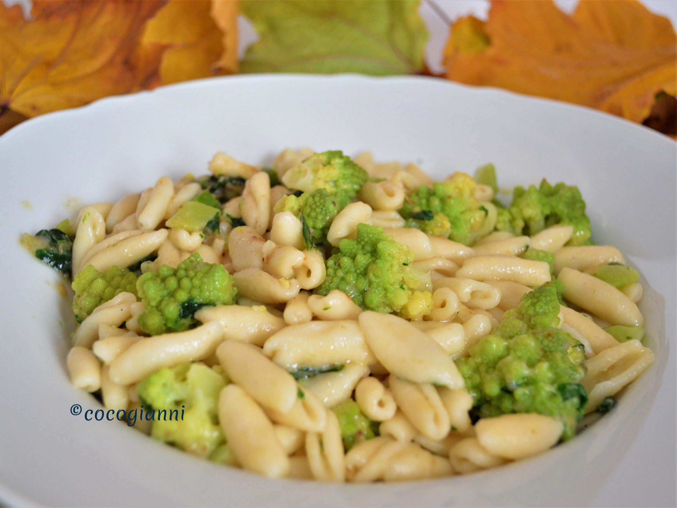 Cavatelli con broccolo romanesco 1