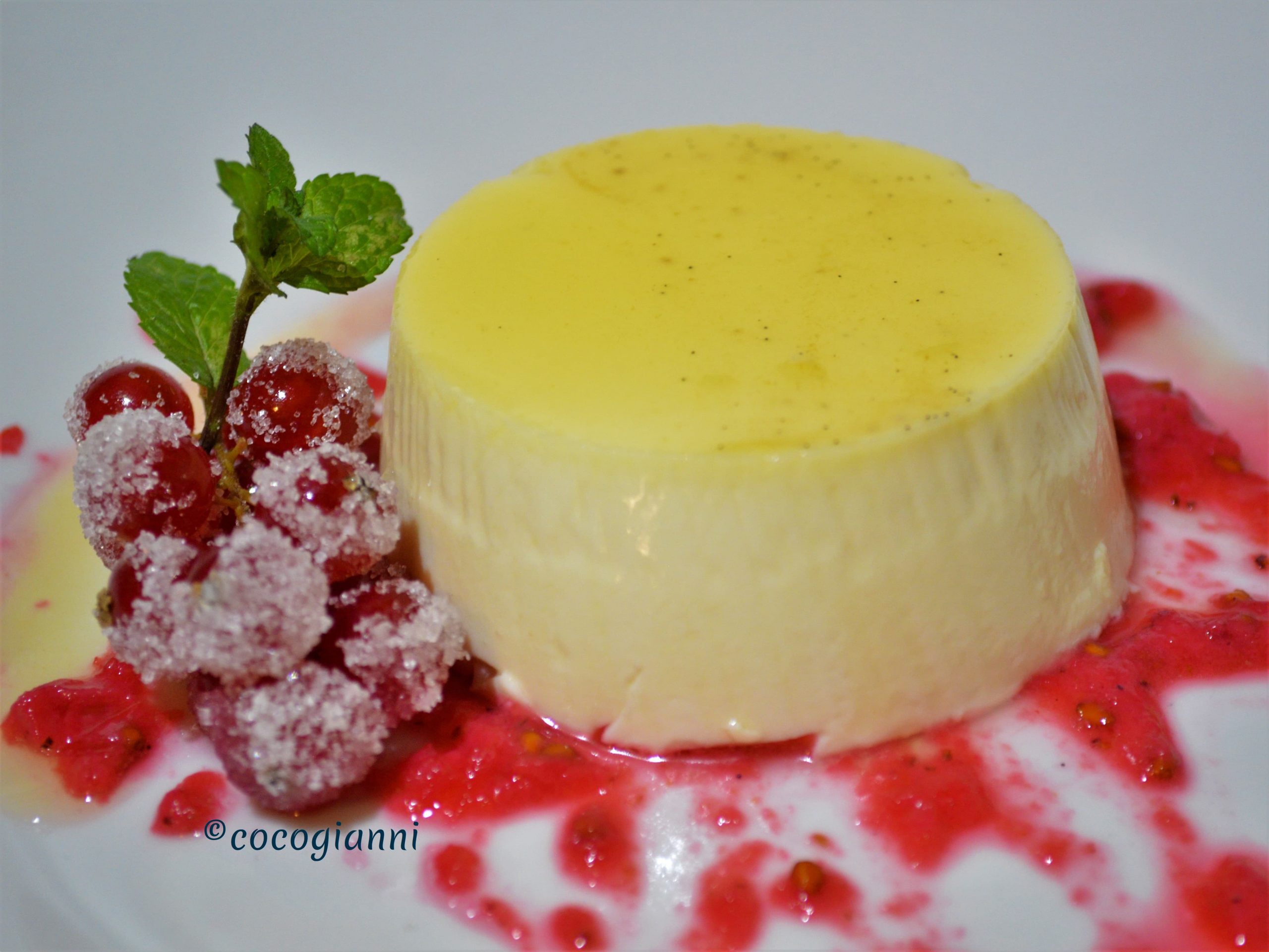 PANNA COTTA 1