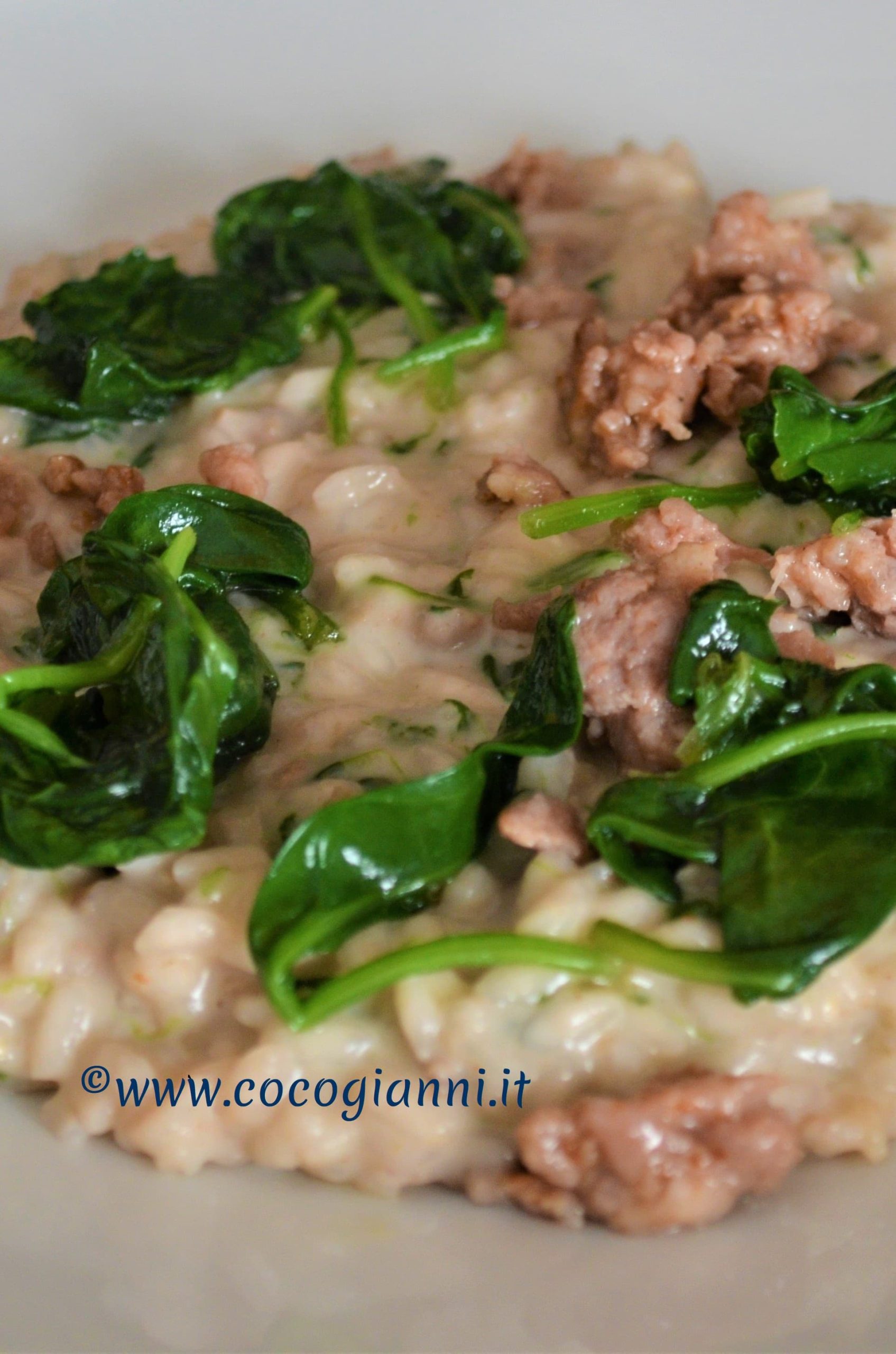 Risotto al pestom 3