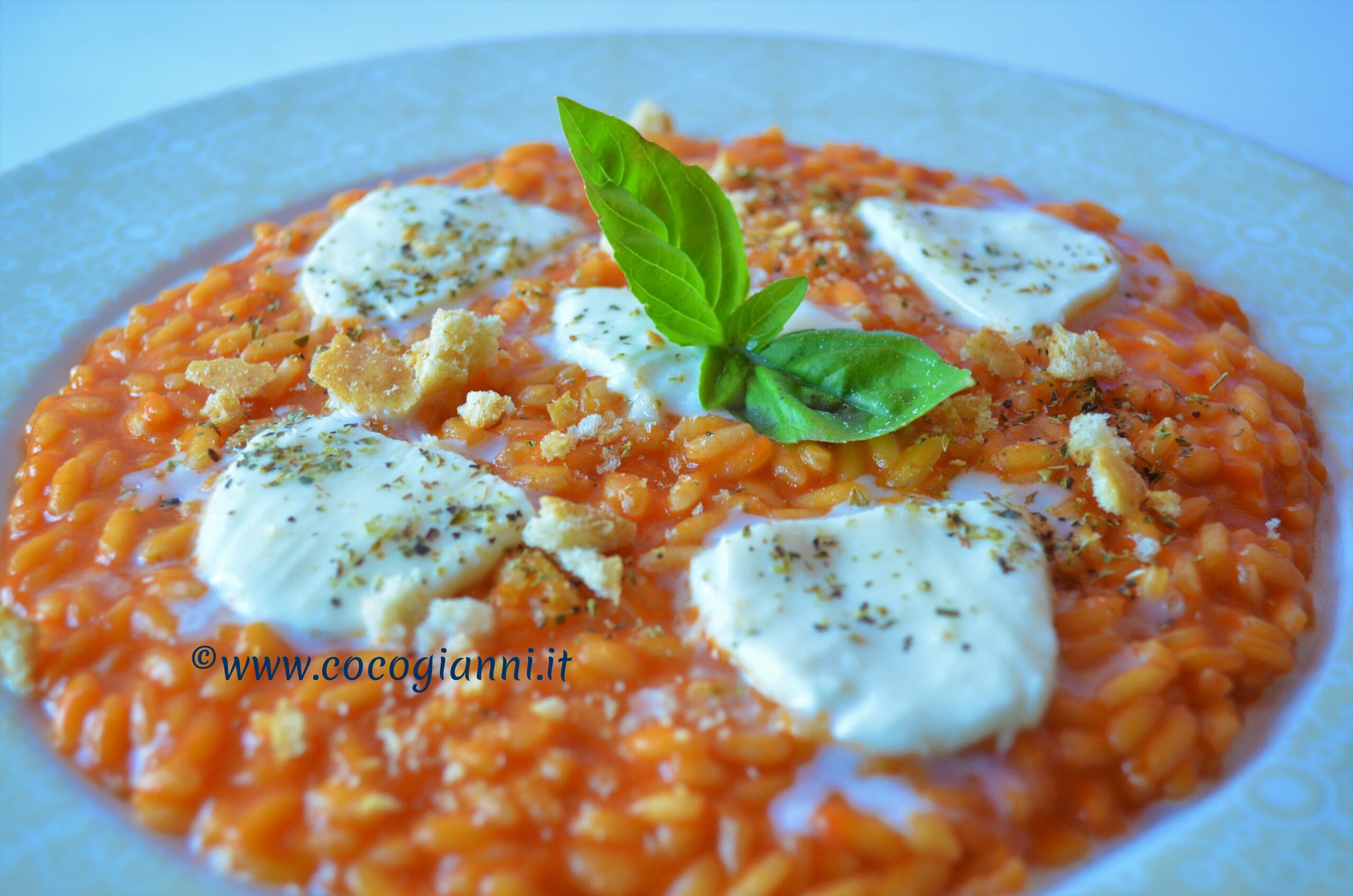 Risotto alla pizza margherita 4