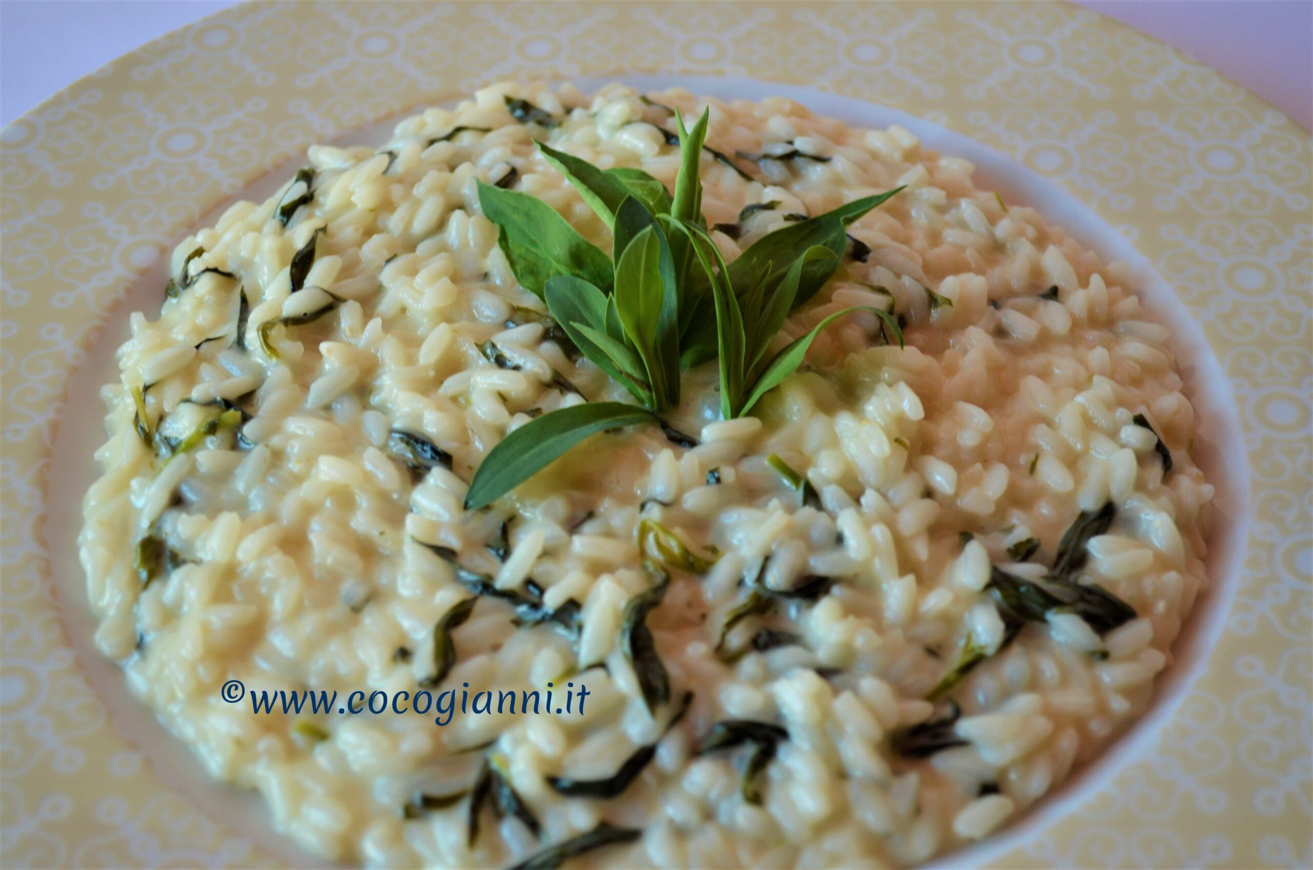 Risotto con i virzulì 2