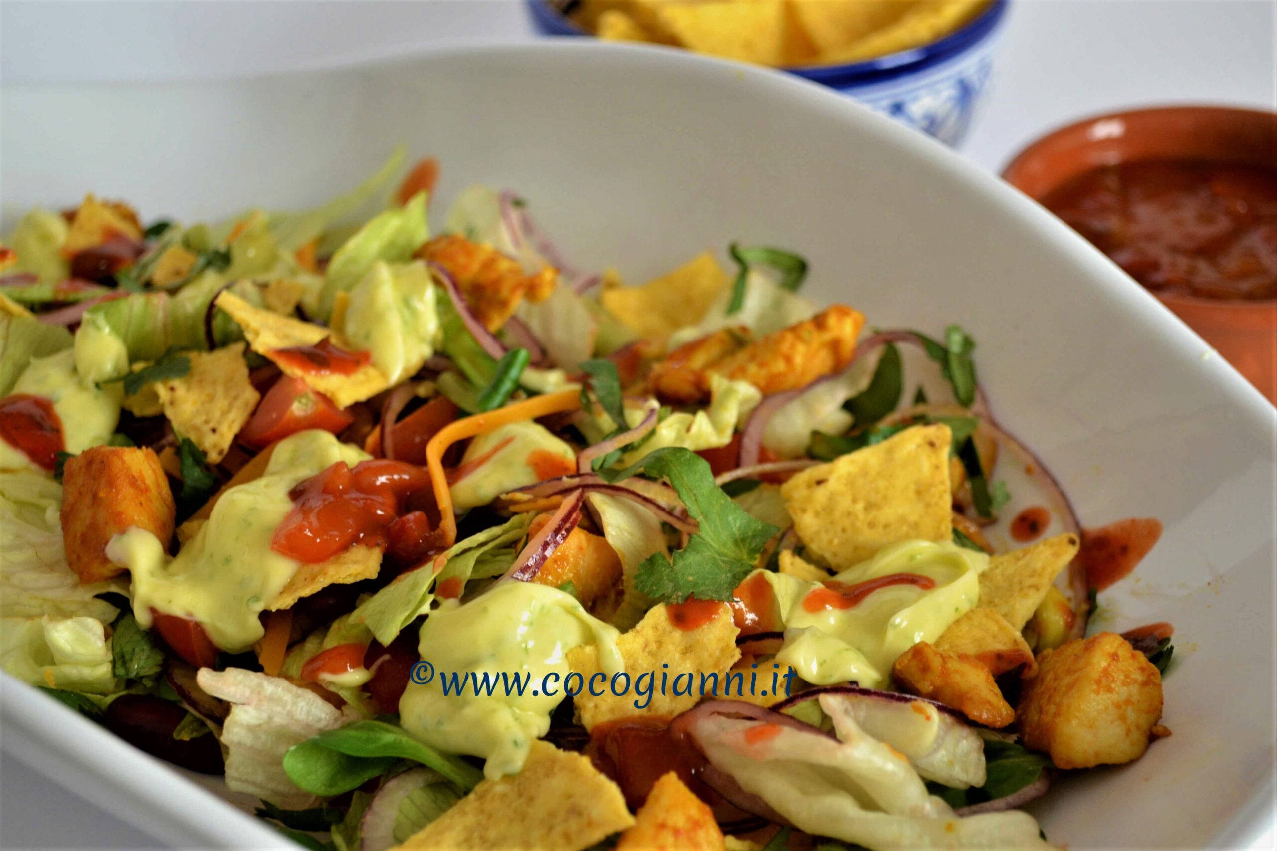 Tex-Mex Salad 3