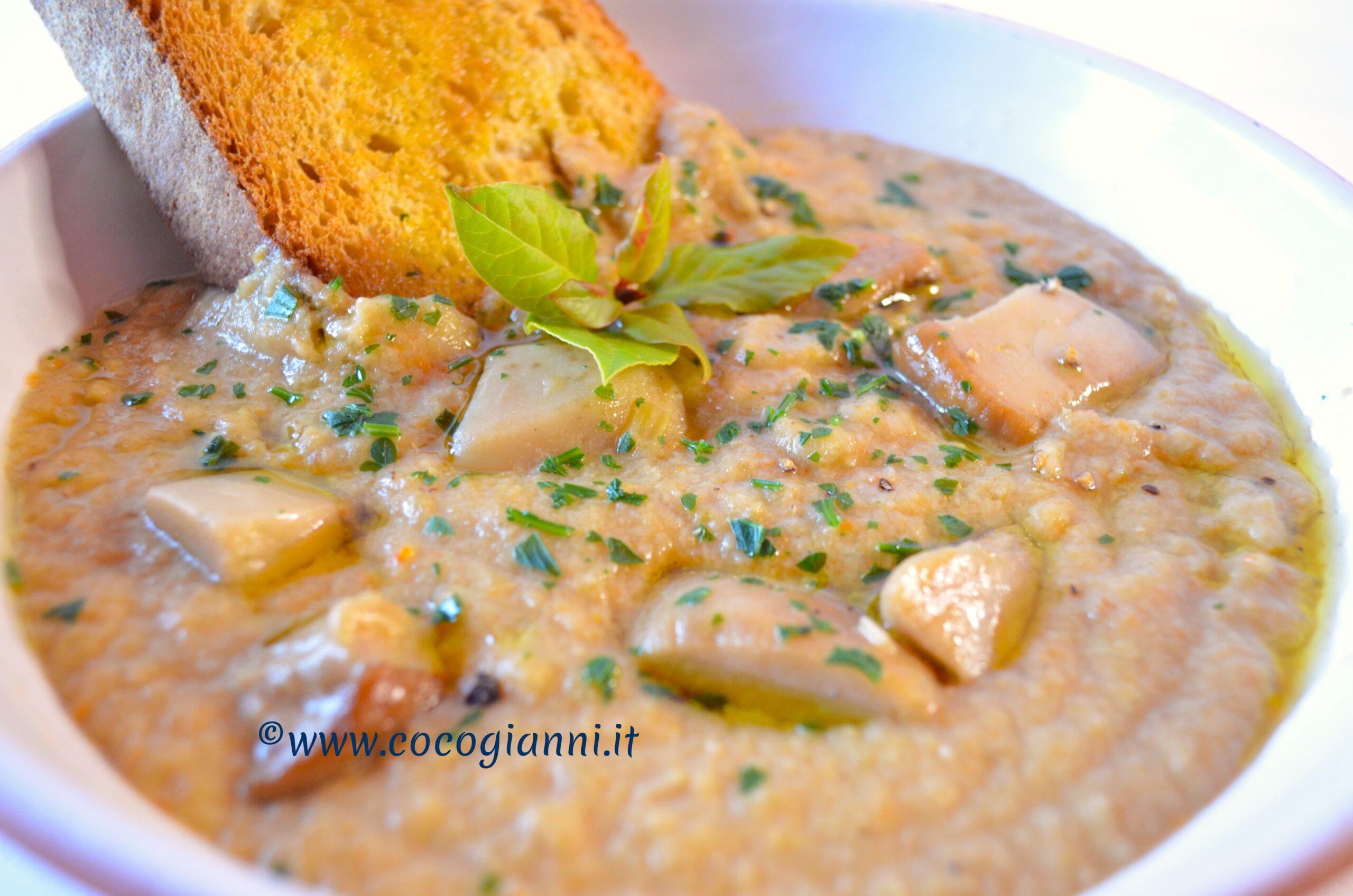 Zuppa di funghi porcini 4