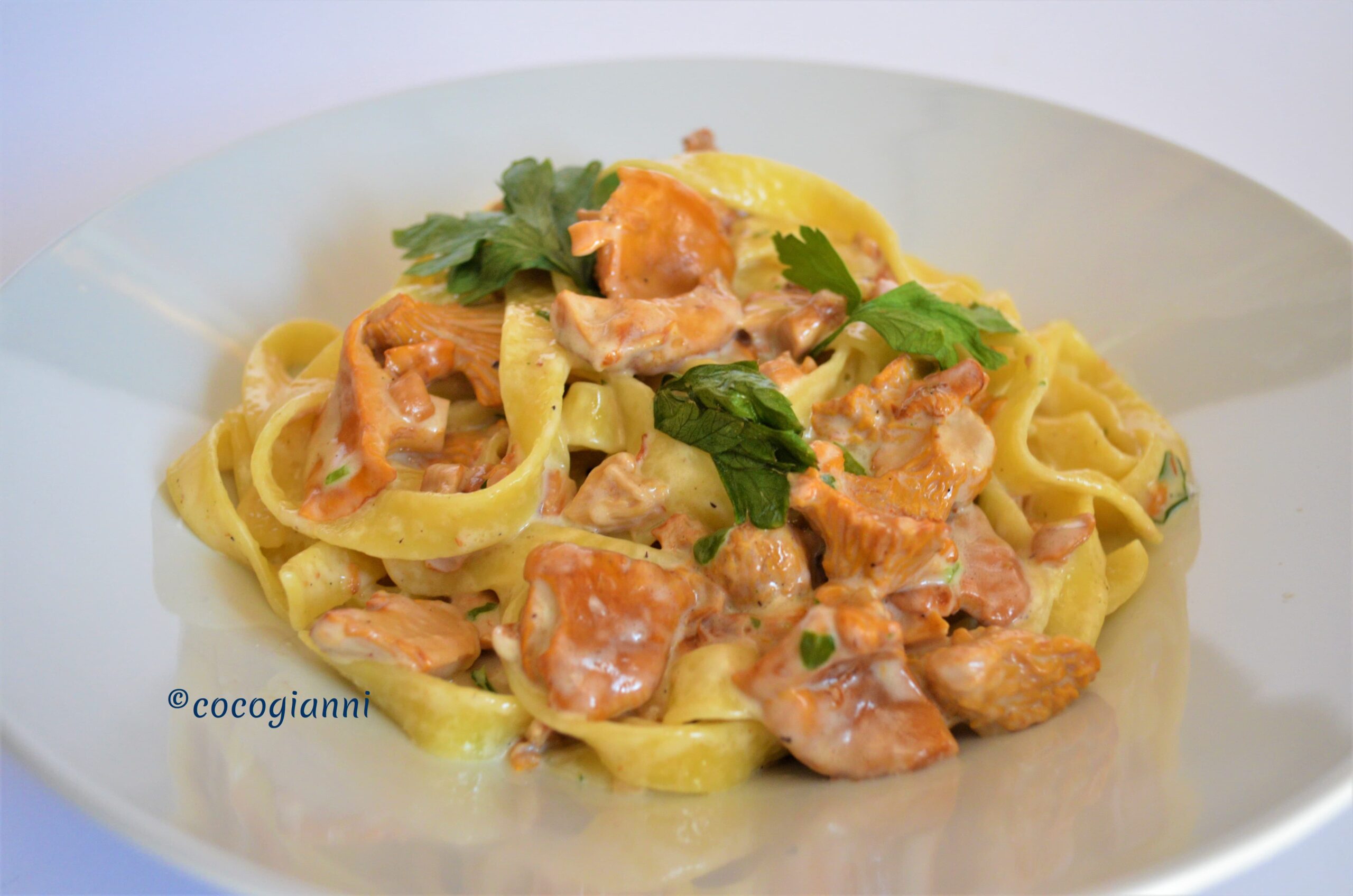 Tagliatelle ai finferli 3